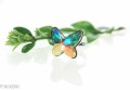 Opalizujący pierścionek duży motyl, regulowany, srebro 925,  kryształ Swarovski®