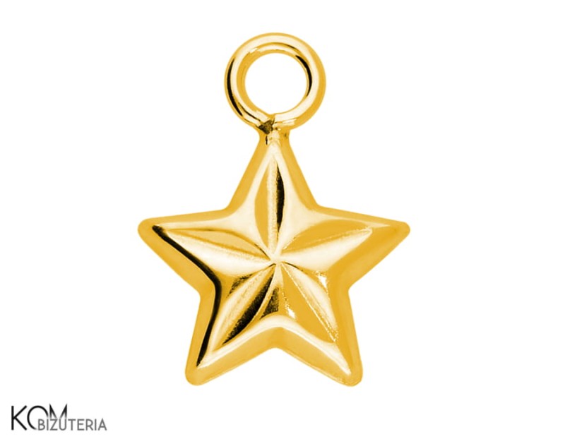 W133 pozlacana srebrna zawieszka charm w ksztalcie gwiazdki.jpg