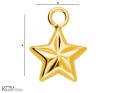 W133 gold-plated silver pendant charm in a shape of a star.jpg